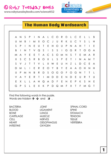 The Human Body - Wordsearch