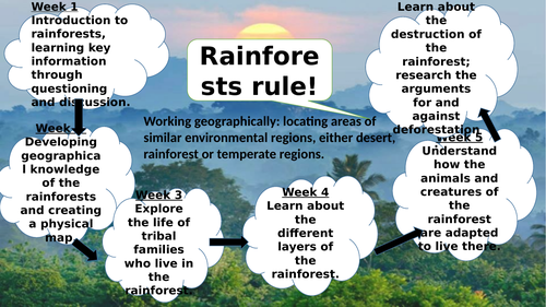 Introduction to rainforests