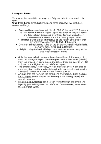 Layers of the Rainforest lesson Year 4