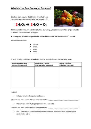 Enzyme activity experiment: catalase sources