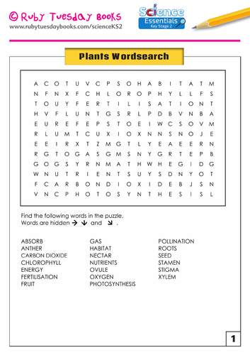 Plants - Wordsearch