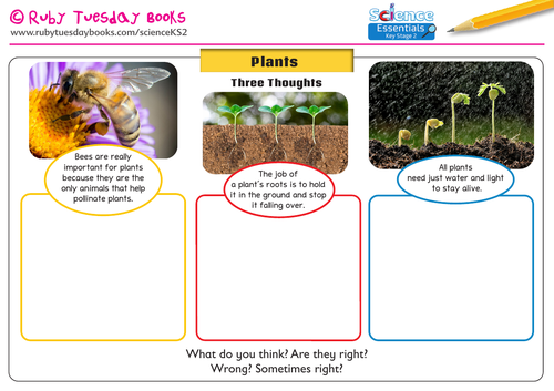 Three Thoughts - Plants. Addressing themes and misconceptions