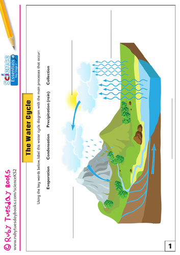 The Water Cycle - Fill In the Gaps and Writing Task