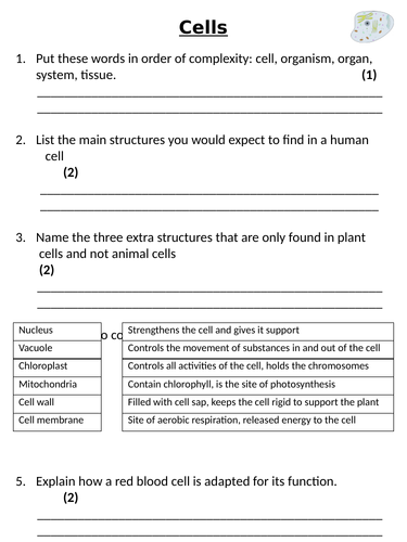 Year 7 cells worksheets pdf picture