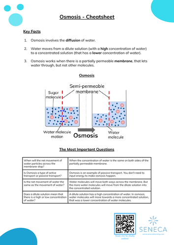 Osmosis Worksheet & Cheatsheet for GCSE | Teaching Resources