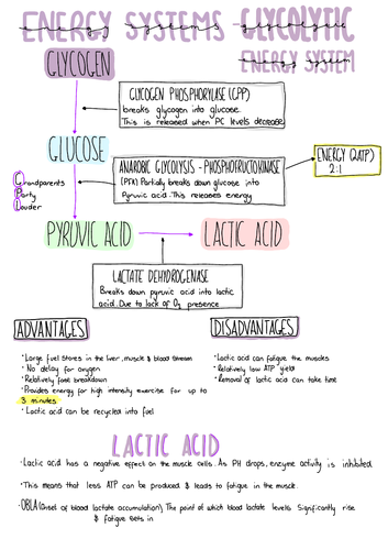 A-Level PE OCR, Glycolytic Energy  System