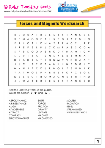 Forces and Magnets - Word Search