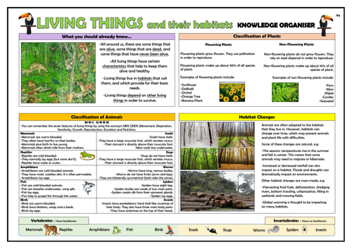 Year 4 Living Things and their Habitats Knowledge Organiser! | Teaching  Resources