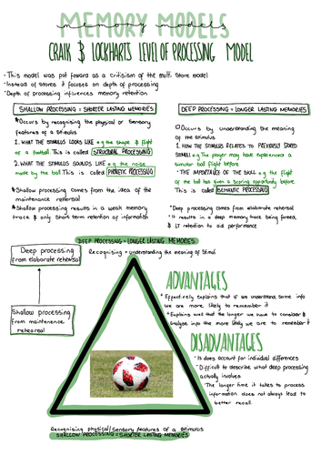 A-level PE, OCR, Craik and Lockharts Level of processing, Memory models