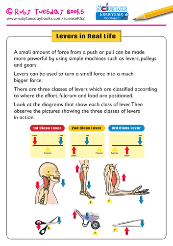 Forces and Magnets: Levers in Real Life