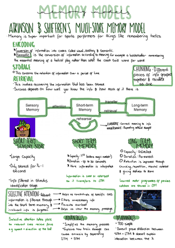 A-level PE, OCR, Atkinson and Shiffren's Multi-store Model of Memory