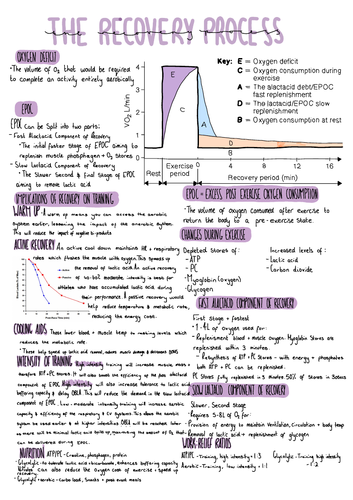 A-level PE, OCR, The recovery Process