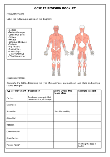 Edexcel GCSE PE Paper 1 revision