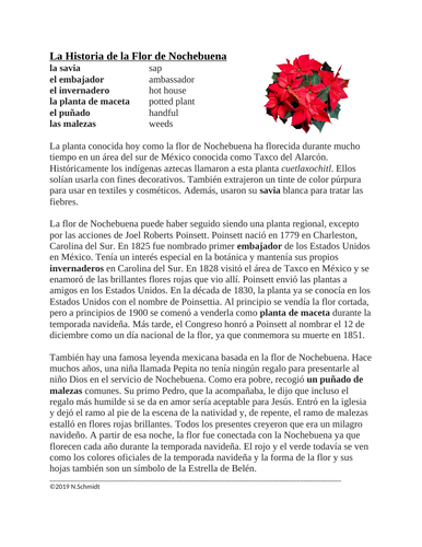 la flor de nochebuena lectura y cultura poinsettia flower spanish reading teaching resources la flor de nochebuena lectura y cultura poinsettia flower spanish reading