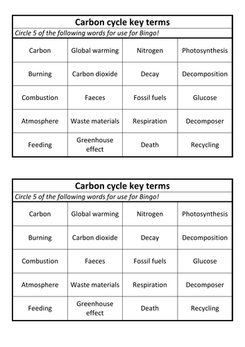 Carbon cycle Bingo cards