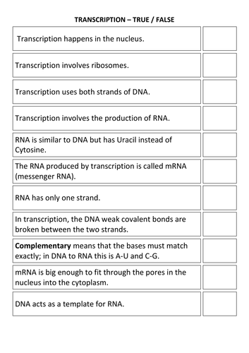 Protein synthesis - Transcription True/False