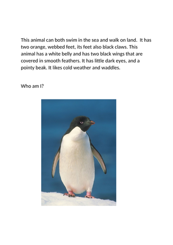 SEN Describing a penguin- colourful semantics