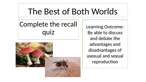 B13.3 Best of Both Worlds