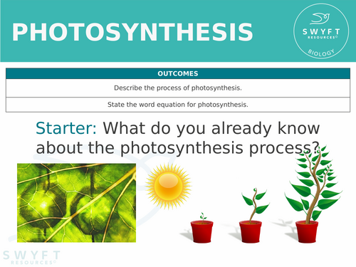 KS3 ~ Year 8 ~ Photosynthesis | Teaching Resources