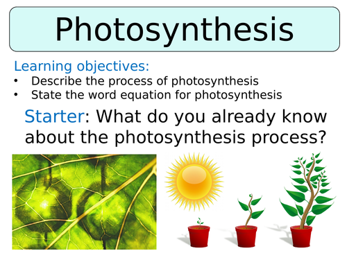 KS3 ~ Year 8 ~ Photosynthesis