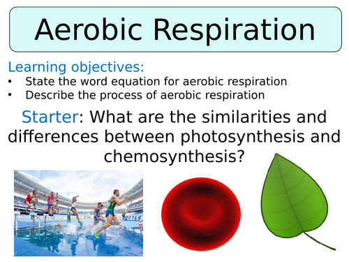 KS3 ~ Year 8 ~ Aerobic Respiration