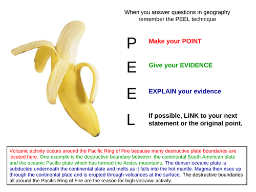 PEEL Exam Question Technique