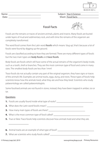 KS2 Science Resource - Fossils