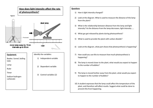 Rate of photosynthesis and What Does Rate Mean? Working Scientifically KS3 KS4 Full lesson