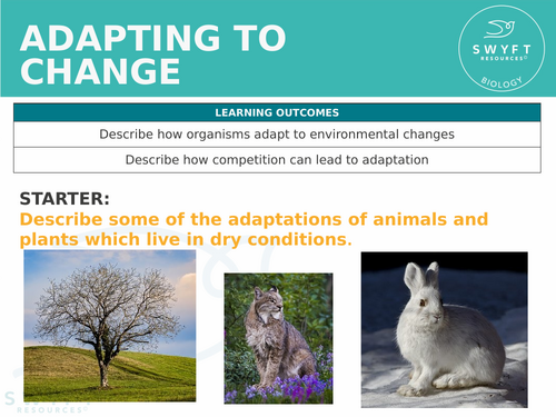 KS3 ~ Year 8 ~ Adapting to Change