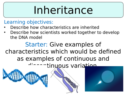 KS3 ~ Year 8 ~ Inheritance