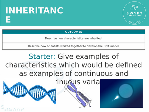 KS3 ~ Year 8 ~ Inheritance
