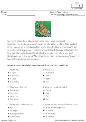 Reading Comprehension - I am a koala