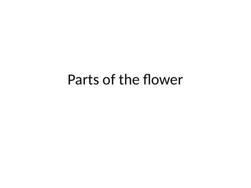 Structure of a flower lesson