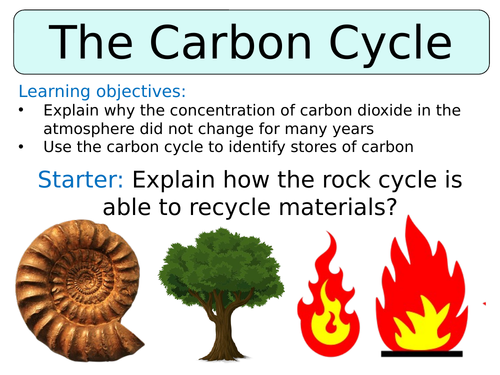 KS3 ~ Year 8 ~ The Carbon Cycle