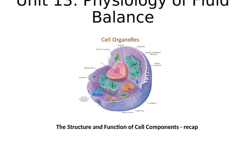 Animal cell components - powerpoint