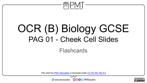 OCR (B) GCSE Biology Practical Flashcards