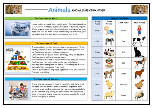 Year 2 Animals Knowledge Organiser!