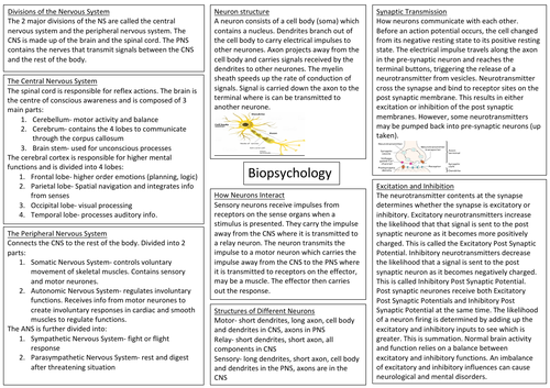 AQA Biopsychology A Level Psychology Revision Sheer