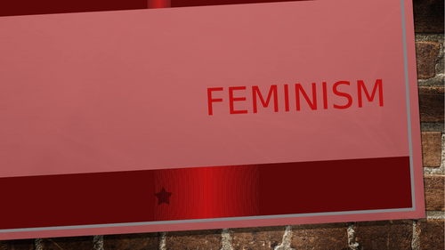 Edexcel A Level politics Feminism