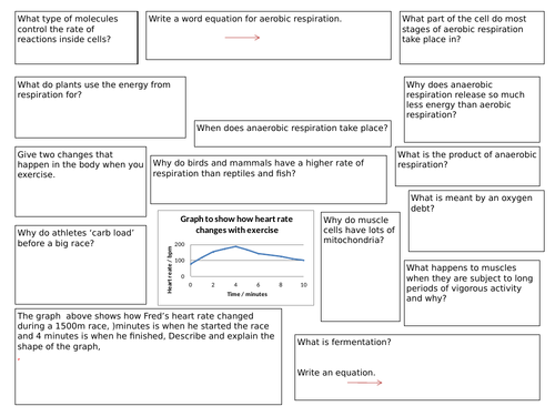 Complete Bioenergetics Topic