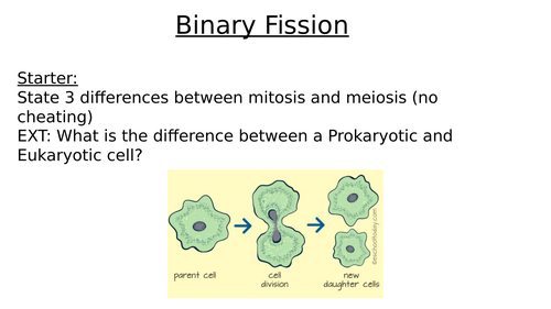 AQA B1 Cell Structure and Cell Division Complete Topic