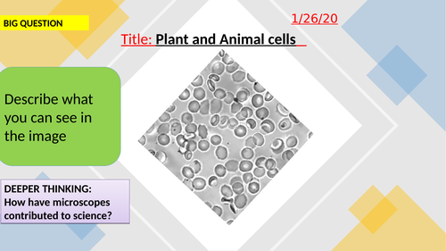 Plant and animal cells-KS3 | Teaching Resources