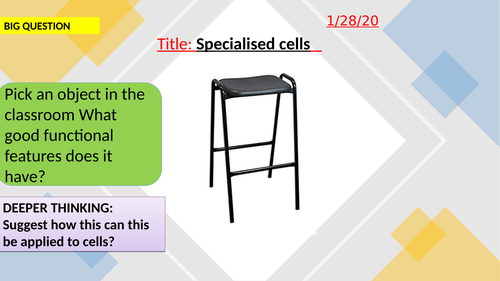 Specialised cells-KS3