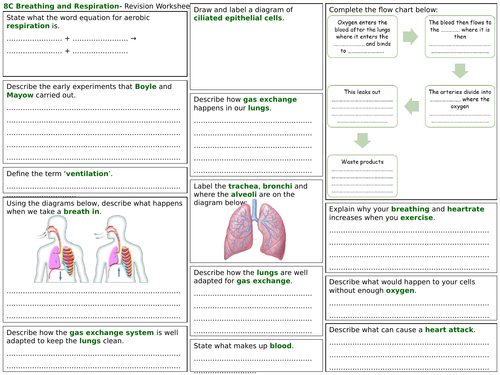 exploring science 8c revision worksheet breathing and respiration teaching resources