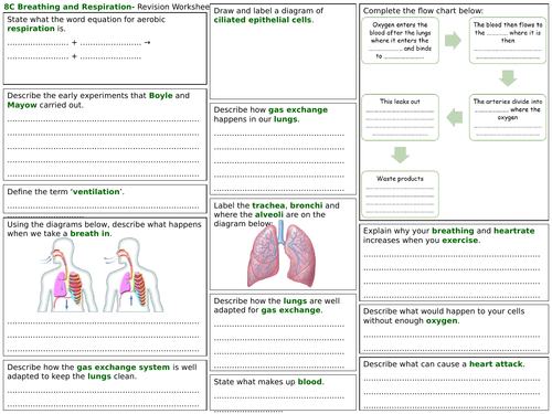 Exploring Science 8C Revision Worksheet- Breathing and Respiration