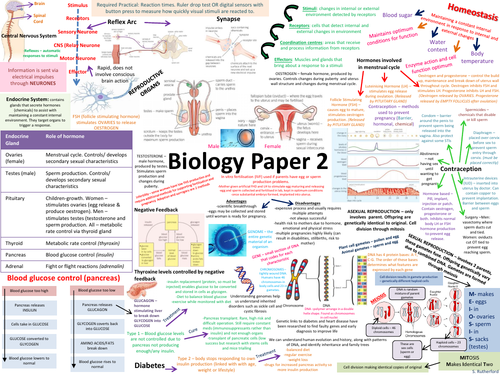 NEW AQA BIOLOGY PAPER 2 REVISION POSTER