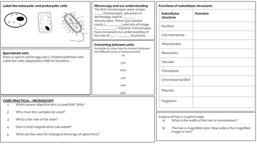 Edexcel Biology 9-1 Revision Mats (Paper 1)