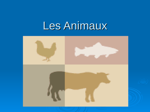 Animaux studio 1 animals French