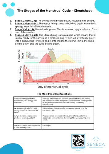 Menstrual Cycle Worksheet And Cheatsheet Teaching Resources 