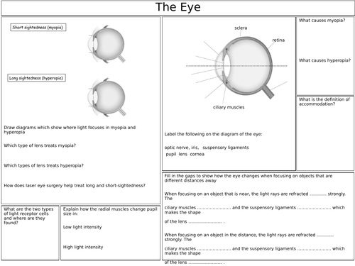 The Eye Revision Sheet